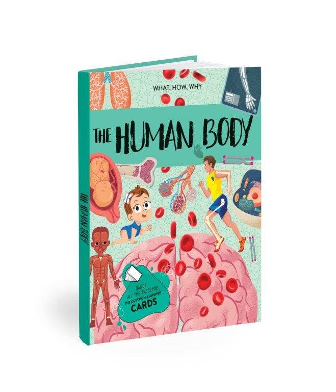 Sassi What How and Why The Human Body Book and Poster